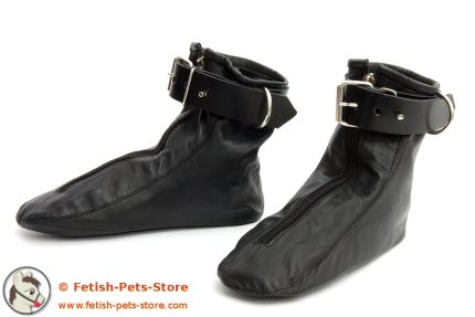 Hind Paws Leather