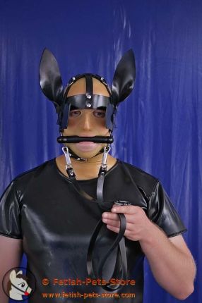 Pony Head Harness