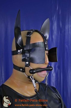 Pony Head Harness