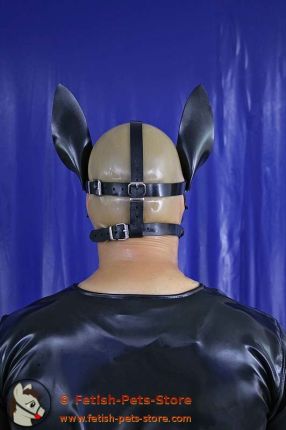 Pony Head Harness