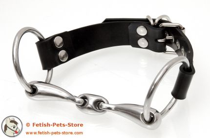 Stainless Steel Snaffle