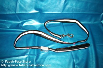 Dog leash with flashing lights