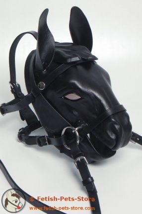 Pony Mask Minishetty