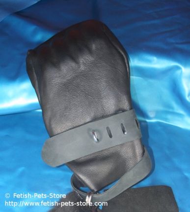 Dog Paws moulded