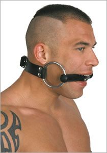 Snaffle with rubber gag