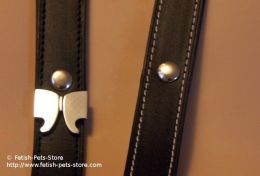Decorative Leather Leash