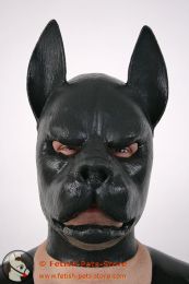 Latex Mask Pitbull