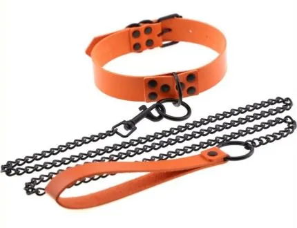 Collar with Metal Leash - multiple colors