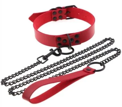 Collar with Metal Leash - multiple colors