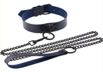 Collar with Metal Leash - multiple colors