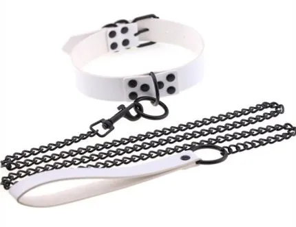 Collar with Metal Leash - multiple colors