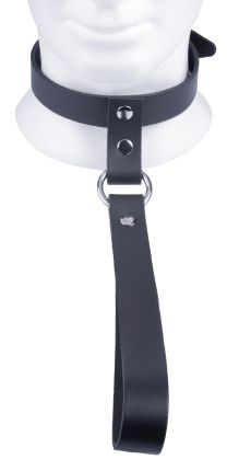 Leather collar with short leash