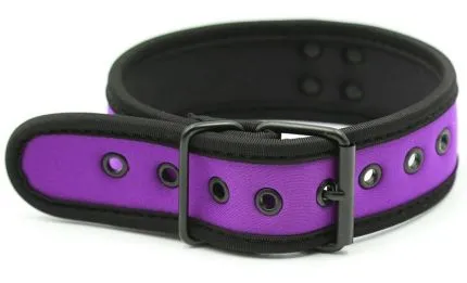 Simple Puppy Neoprene Collar