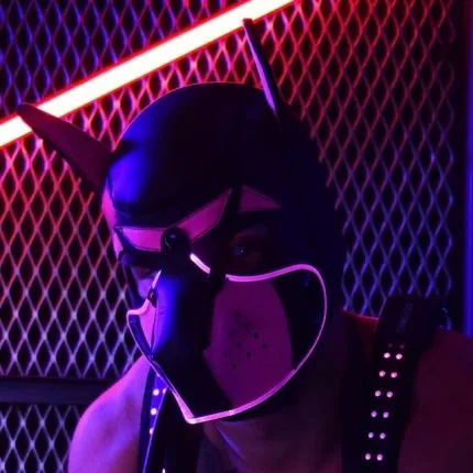 Puppy Muzzle with LED lights