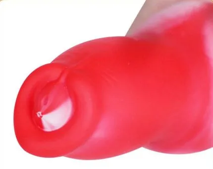 Hundeschwanz mit Hundedildo