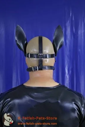 Pony Harness Kopfgeschirr