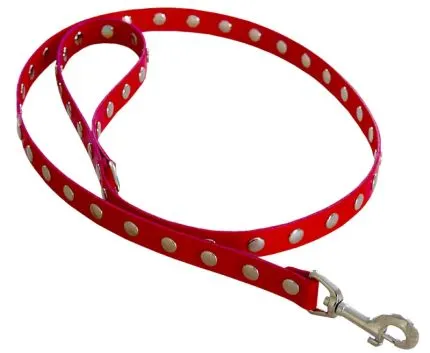 Leather Leash with Rivets