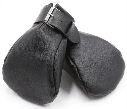 Einsteiger Hundepfoten