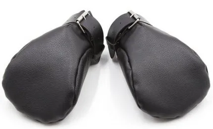 Einsteiger Hundepfoten