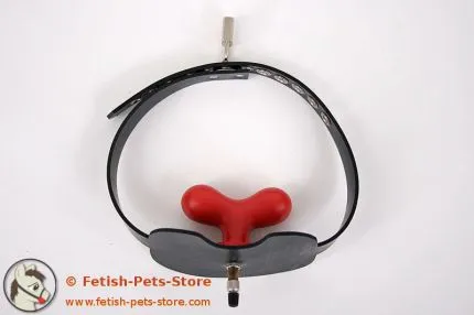Butterfly Gag Harness