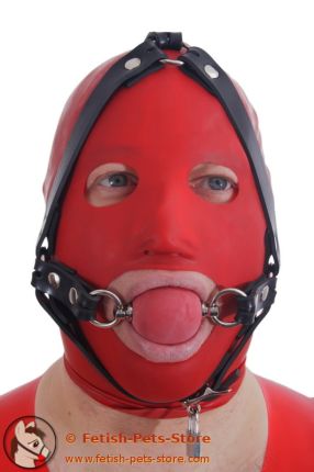 Ballgag head harness