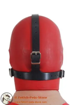 Ballknebel Kopfgeschirr