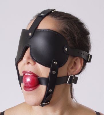 Gag and Blindfold Head Harness