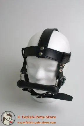 Horse Bit with Reins