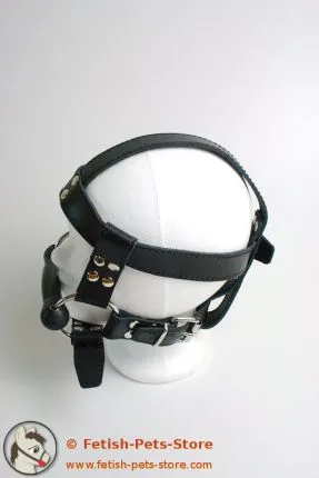 Horse Bit with Reins