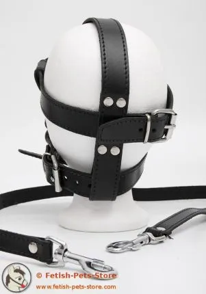 Horse Bit with Reins