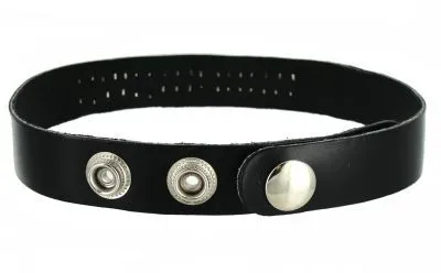 Leather ID Collar