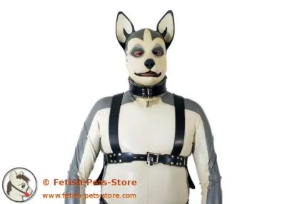 Hundebrustgeschirr mit Klettschild