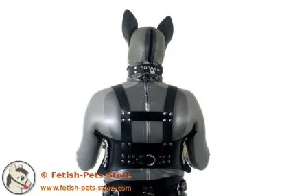 Hundebrustgeschirr mit Klettschild