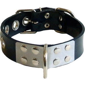 Rubber Collar with Metal