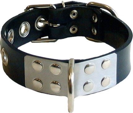 Rubber Collar with Metal