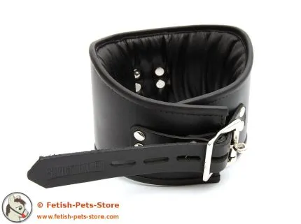 Padded Leather Locking Posture Collar