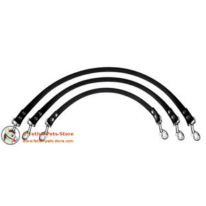 Rubber Reins with two Snap Links