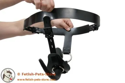 Dog Tail Rubber Harness