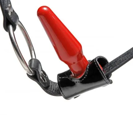 Cock Ring and Anal Plug Harness