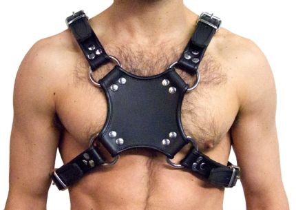 Ausgeh Harness