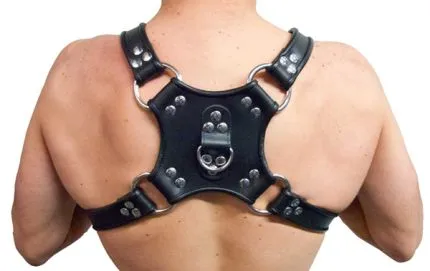 Walking Harness