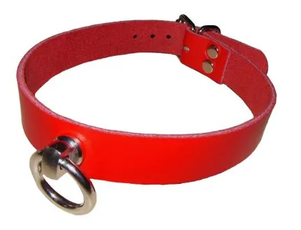 Leather collar with big O-ring