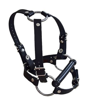 Head harness with separate briddle