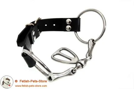 Stainless Steel Single Tongue Port Bit