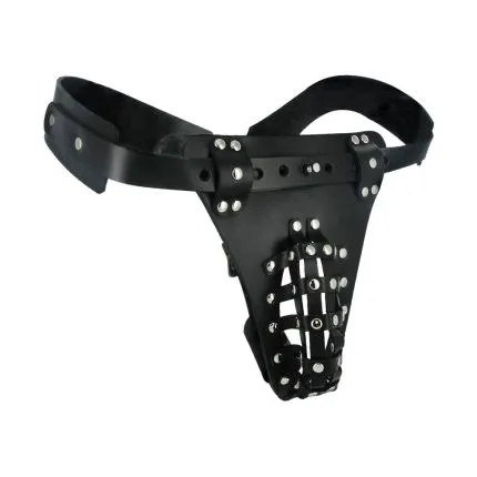 Chastity Belt with Anal Plug Harness