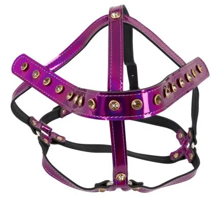 Kitty Head Harness