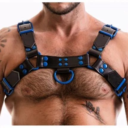 H-Front Harness coloured studs