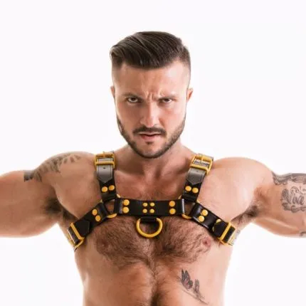 H-Front Harness coloured studs