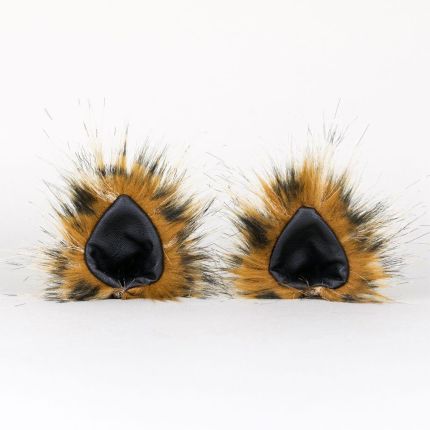 Ohren roter Gepard