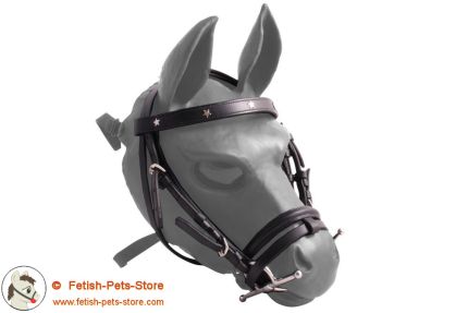 Bridle for WGM HG1